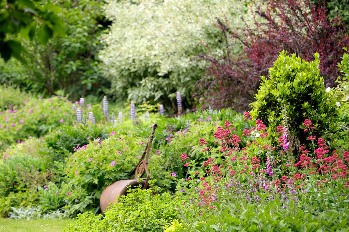 Garden, showing flowerbeds.