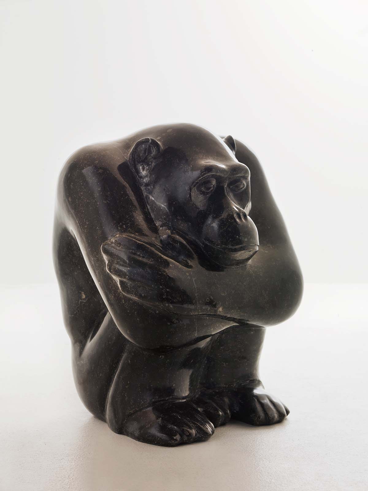 Sculpture of tortoise, by Michael Cooper.